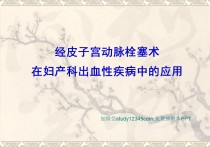 经皮子宫动脉栓塞术在妇产科出血性疾病中的应用PPT