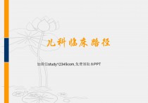 儿科临床路径PPT