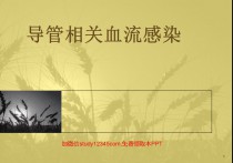 导管相关血流感染PPT