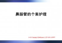 鼻肠管的个案护理PPT