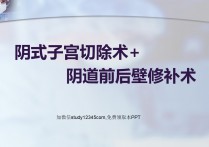 阴式子宫切除术+阴道前后壁修补术