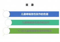 ICS联合SABA一线治疗儿童哮喘急性发作PPT