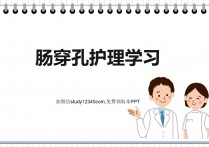 肠穿孔护理学习PPT