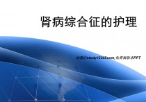 肾病综合征的护理PPT模板