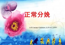 产科正常分娩机制PPT