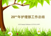 护理部工作总结PPT