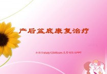产后盆底康复治疗PPT