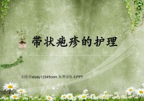带状疱疹的护理PPT