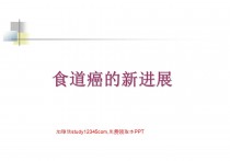 食道癌的新进展 PPT