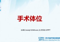 手术体位