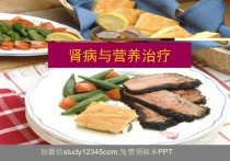 肾病与营养治疗PPT