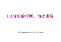 LGA肾病的诊断、治疗进展课件PPT