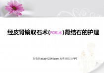 经皮肾镜取石术(PCNL术)肾结石的护理PPT