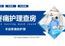 疼痛护理查房PPT