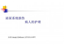 泌尿系统损伤病人的护理