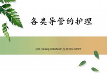 各类导管的护理PPT