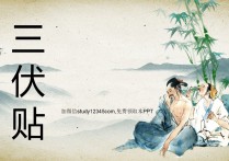 三伏贴