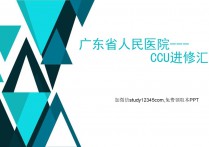 CCU进修汇报PPT