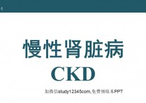 慢性肾脏病CKDPPT