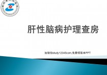 肝性脑病护理查房ppt