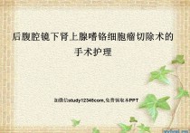 后腹腔镜下肾上腺嗜铬细胞瘤切除术的手术护理PPT
