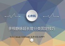 多根静脉延长管分类固定技巧