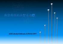 骨盆骨折的分型及治疗PPT