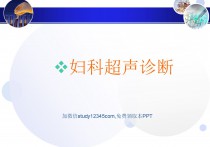 妇科超声诊断PPT