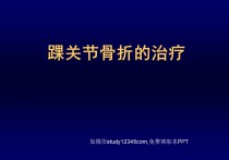 踝关节骨折的治疗PPT