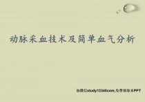 动脉采血技术及简单血气分析PPT