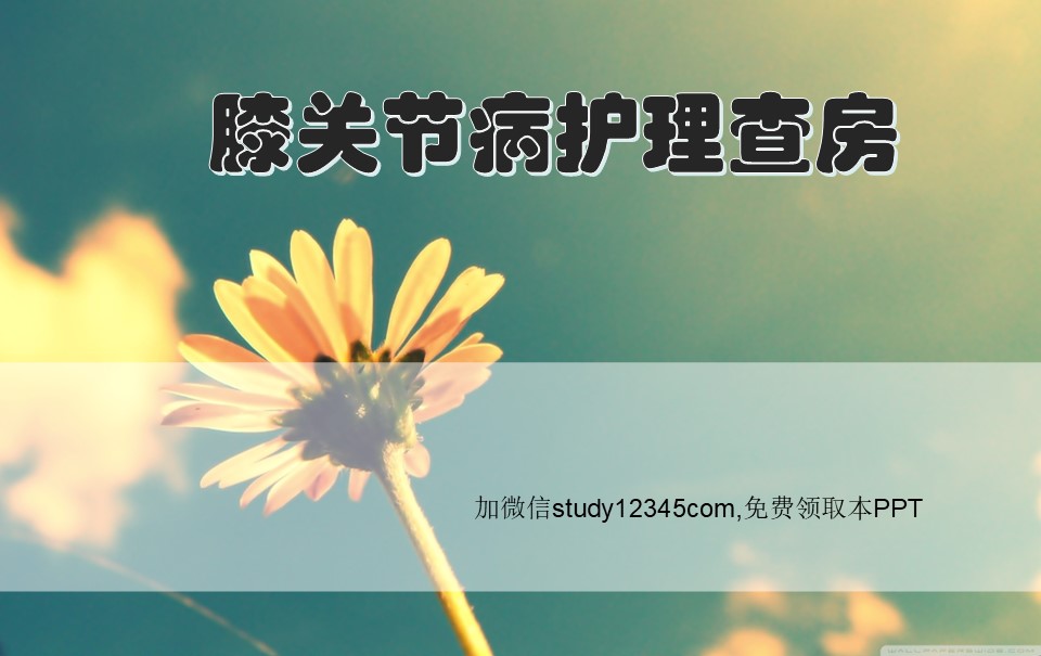 膝关节病护理查房PPT