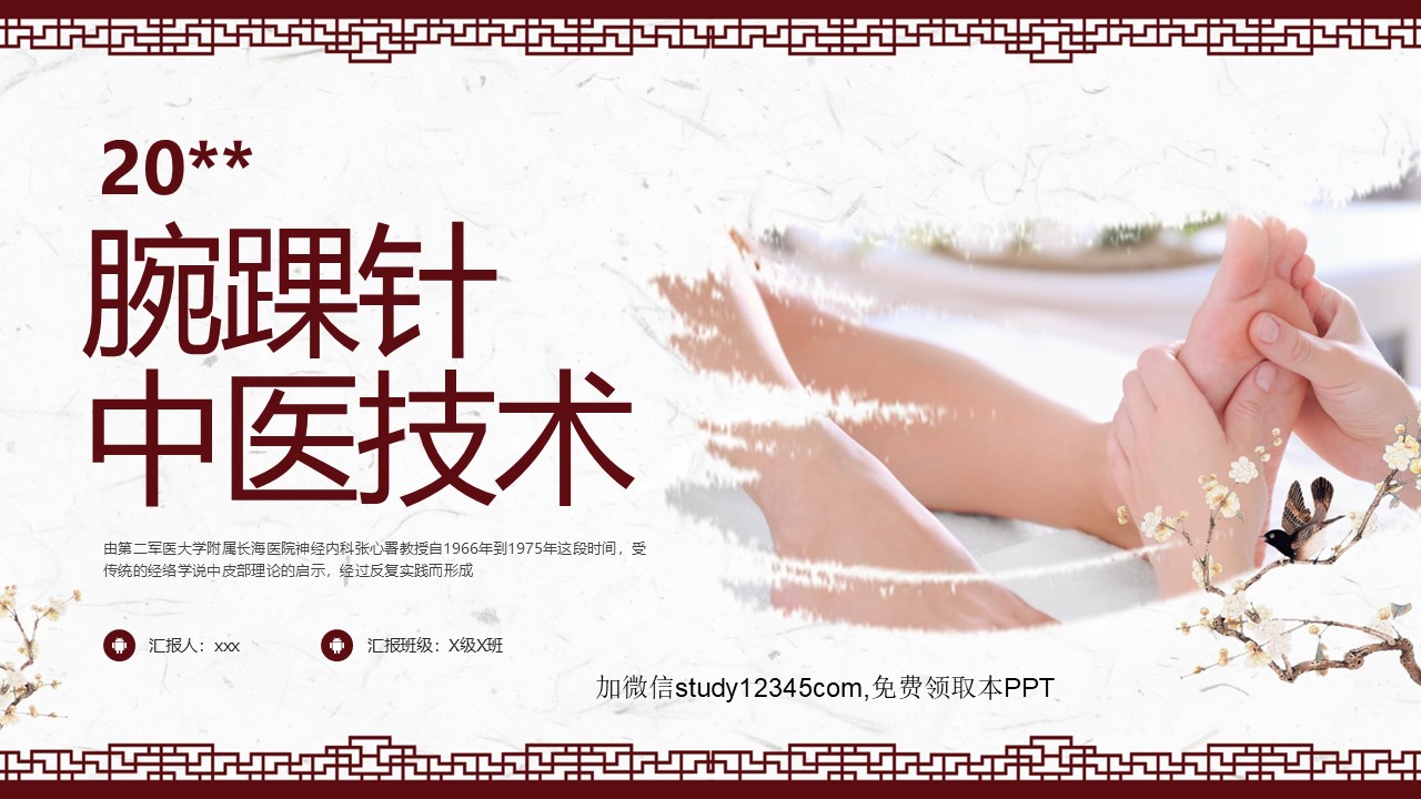 腕踝针中医技术1